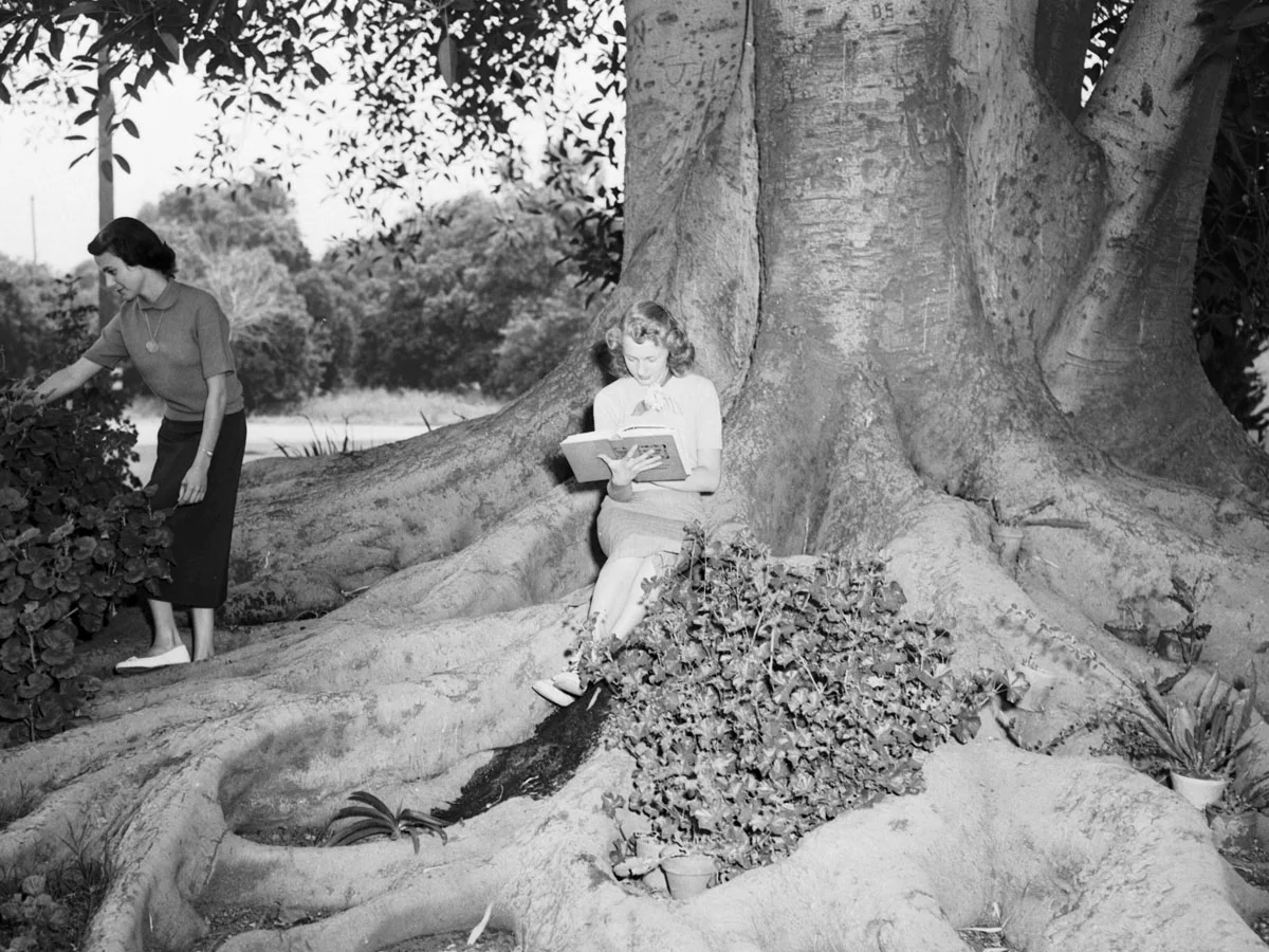 glendora 1952.jpg