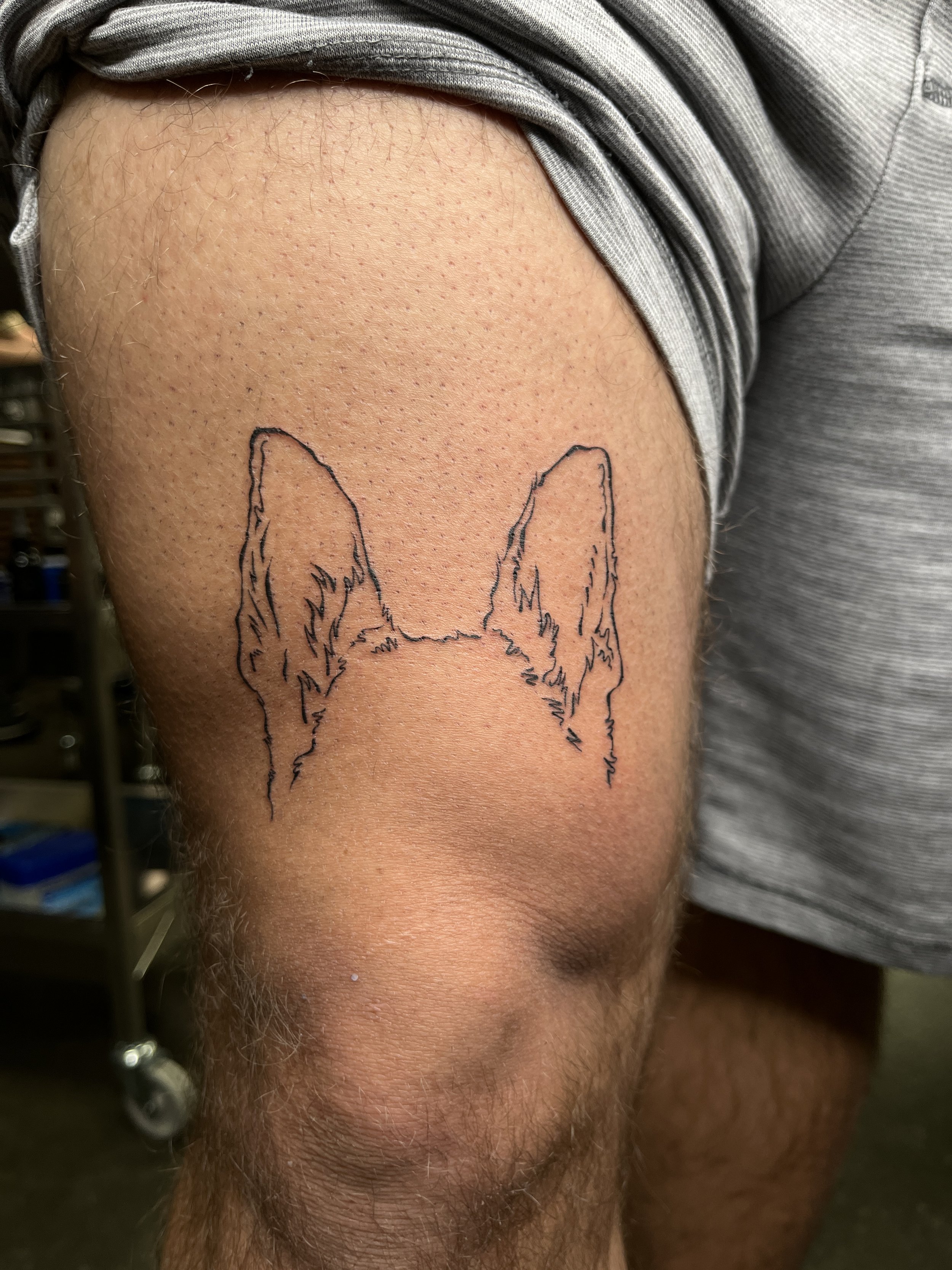 DogEars-thigh-BrookeElayyne.jpg