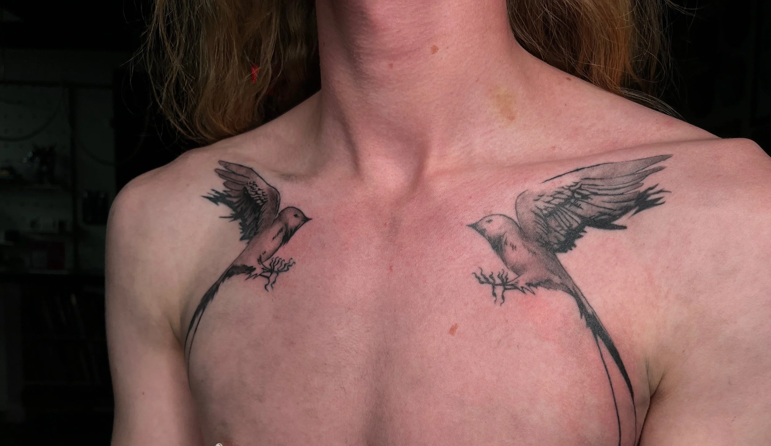 SymmetricalSwallows-chestpiece-BrookeElayyne-2.jpg