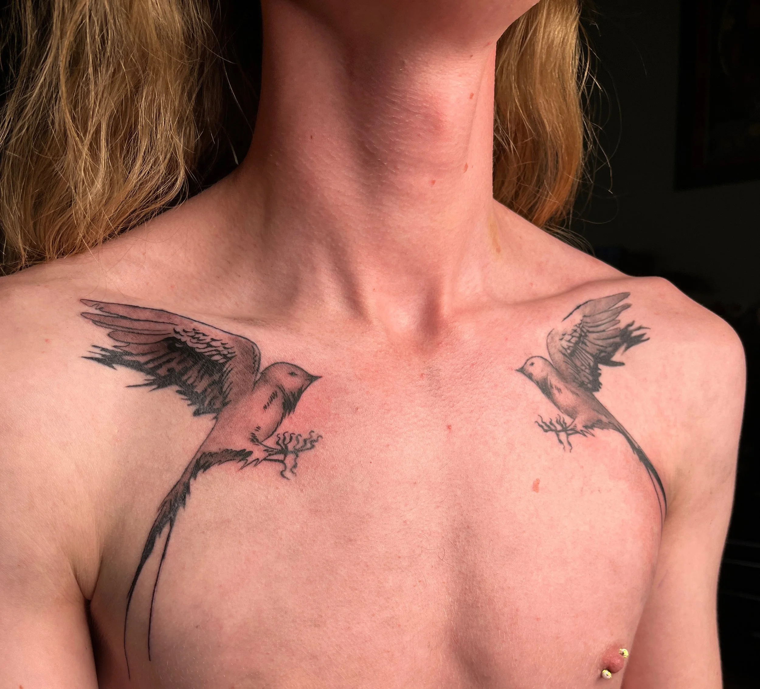 SymmetricalSwallows-chestpiece-BrookeElayyne-1.jpg