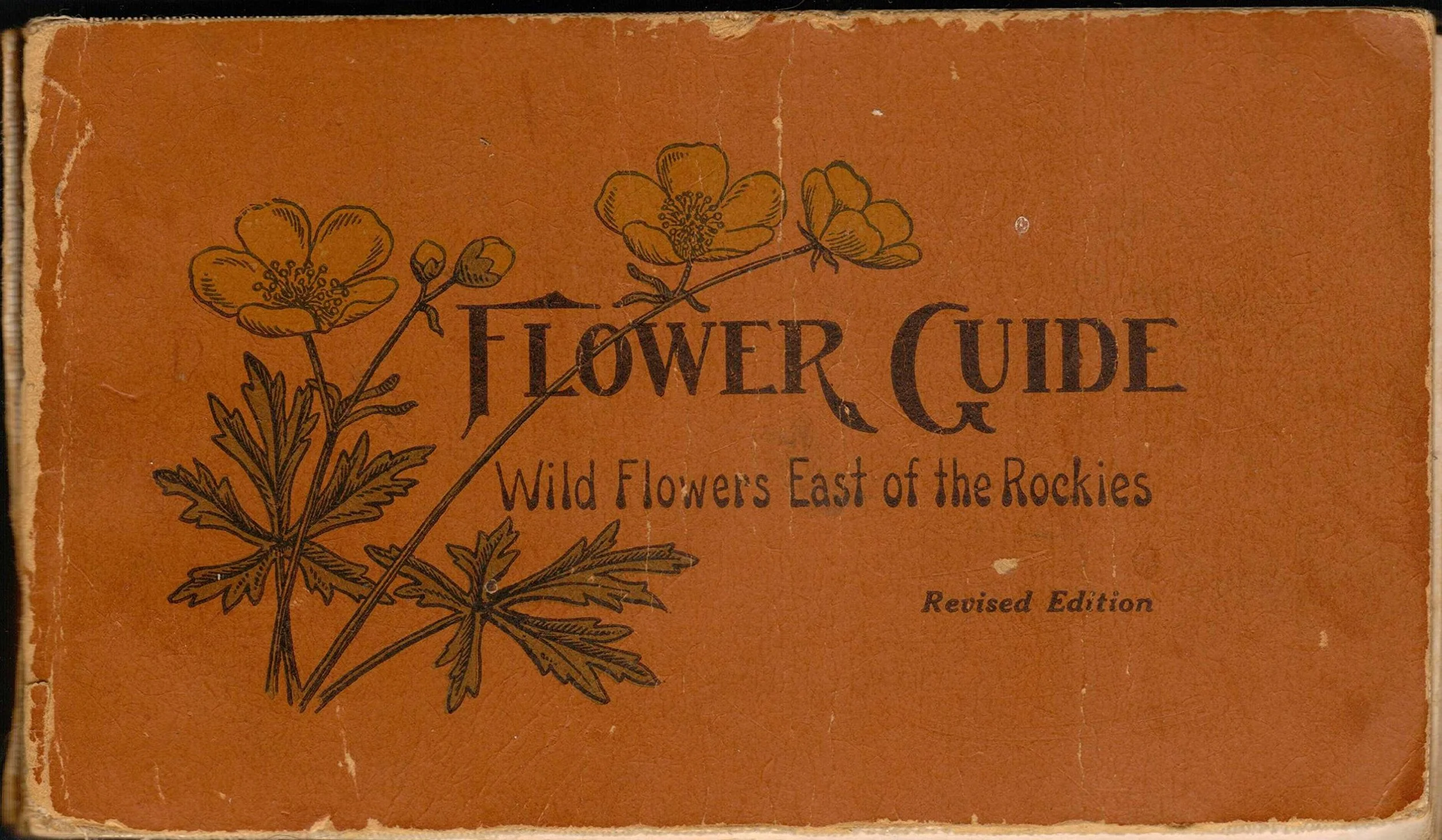 Reed, Chester A. Flower Guide, Wild Flowers East of the Rockies . Doubleday, Paige & Co., 1926. Image source: Amazon