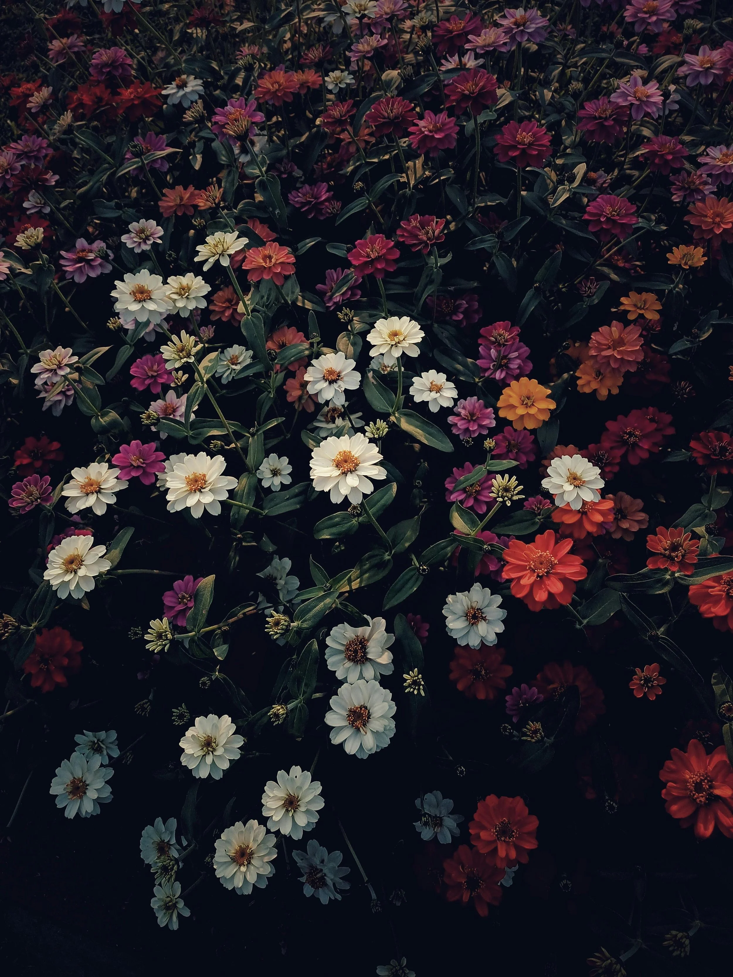 A Conversation with Photographer Oviul Maruf 