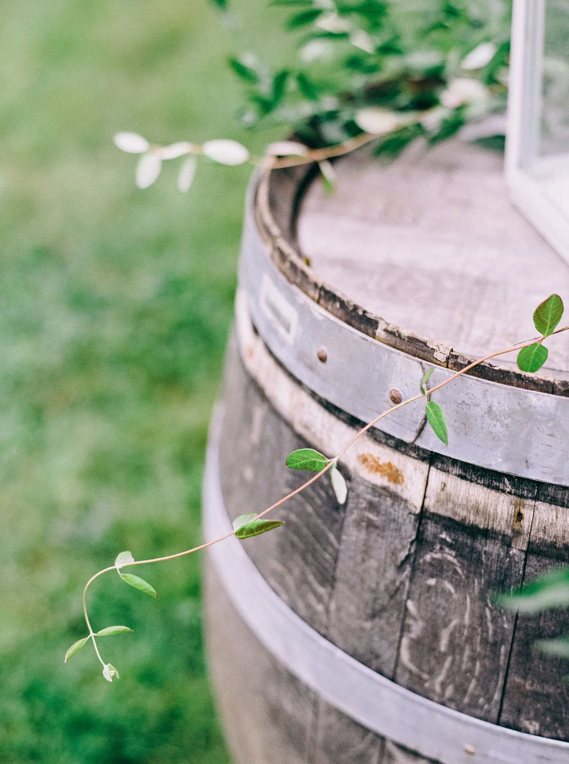 veritas_winery_vineyard_weding_florist_virginia.jpg
