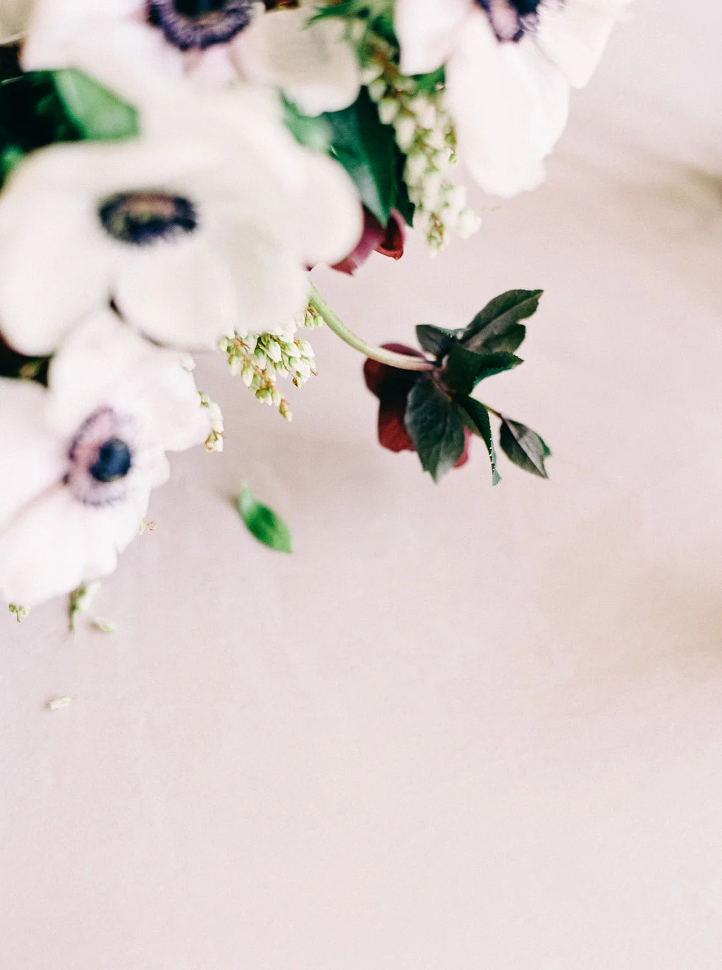 Nikki Santerre Photography