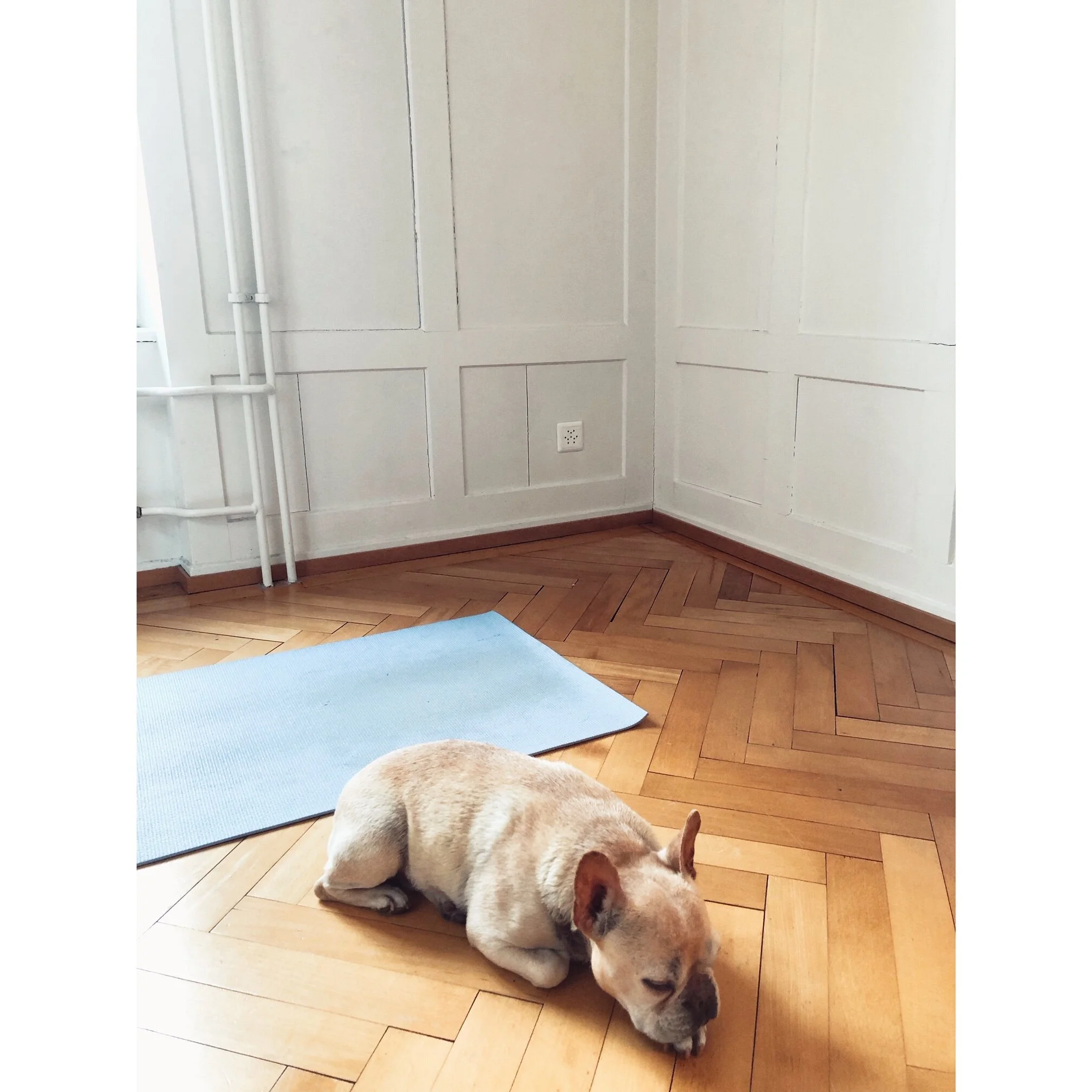 YOGA PRACTICE AT HOME