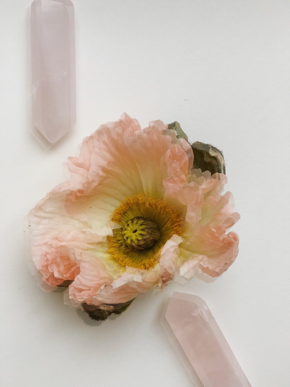 PINK 1 : A WEEK IN COLORS