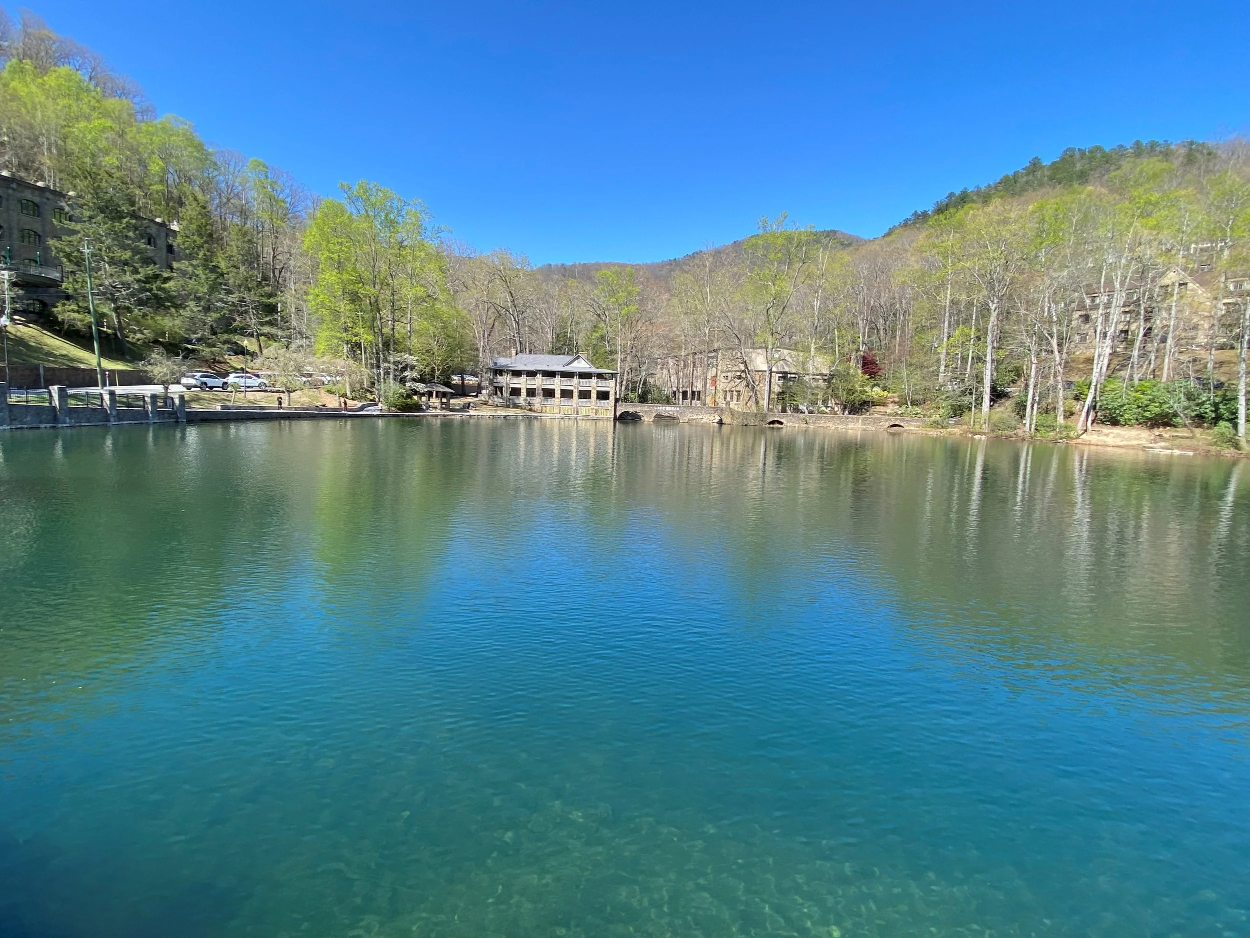 Lake Susan Spring.jpg