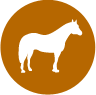 klein_ranch.png