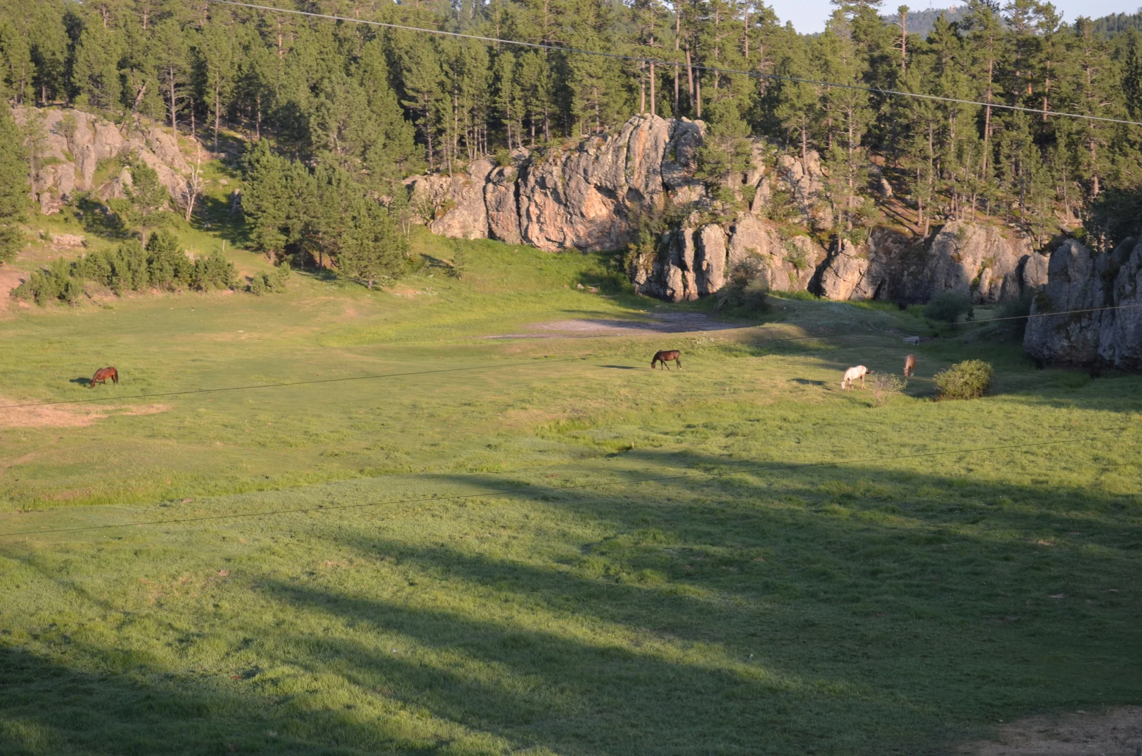 Enjoy wildlife as a part of your breathtaking view from the lodge deck.