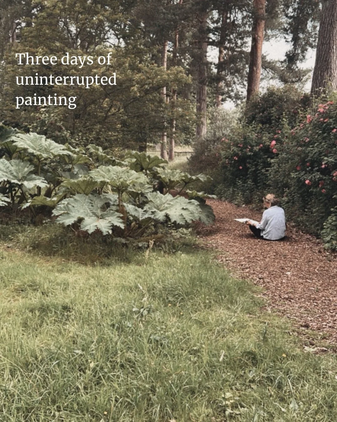 J U N E  W O R K S H O P

Three days of uninterrupted painting, surrounded by green.

Imagine a weekend where no one asks anything of you or makes demands on your time. 

Occasionally, someone might tap you on the shoulder and remind you to have some