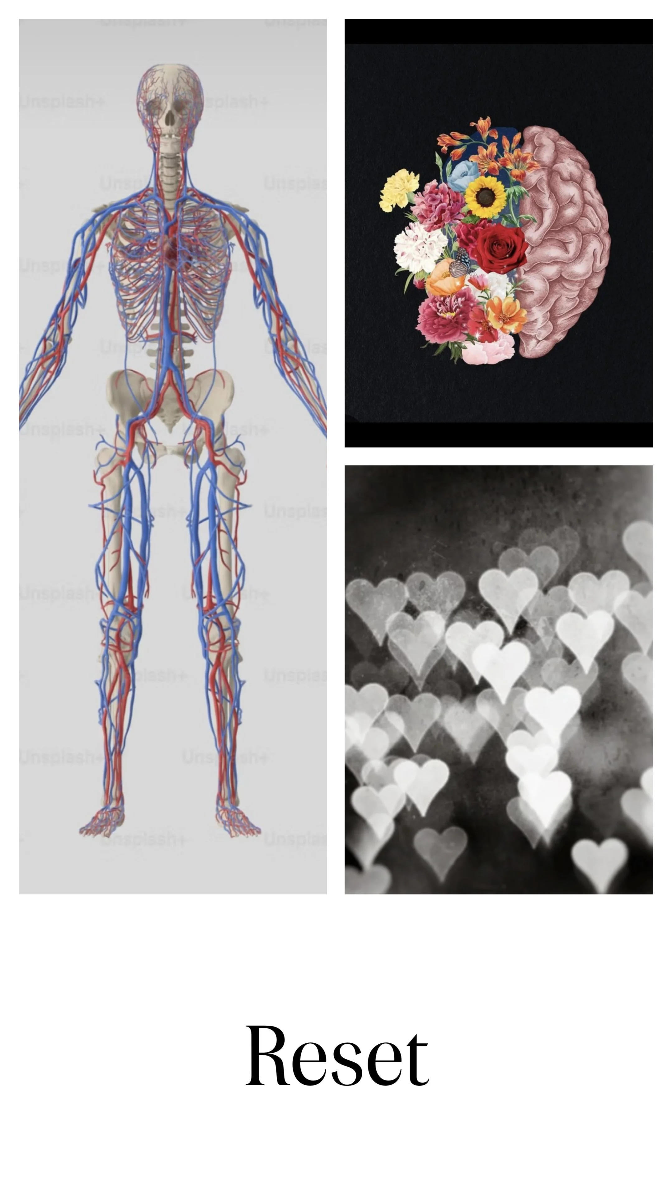 Reset-Rebalance-Restore Your Life - Sunday, March 22nd, 11:00 to 4:00