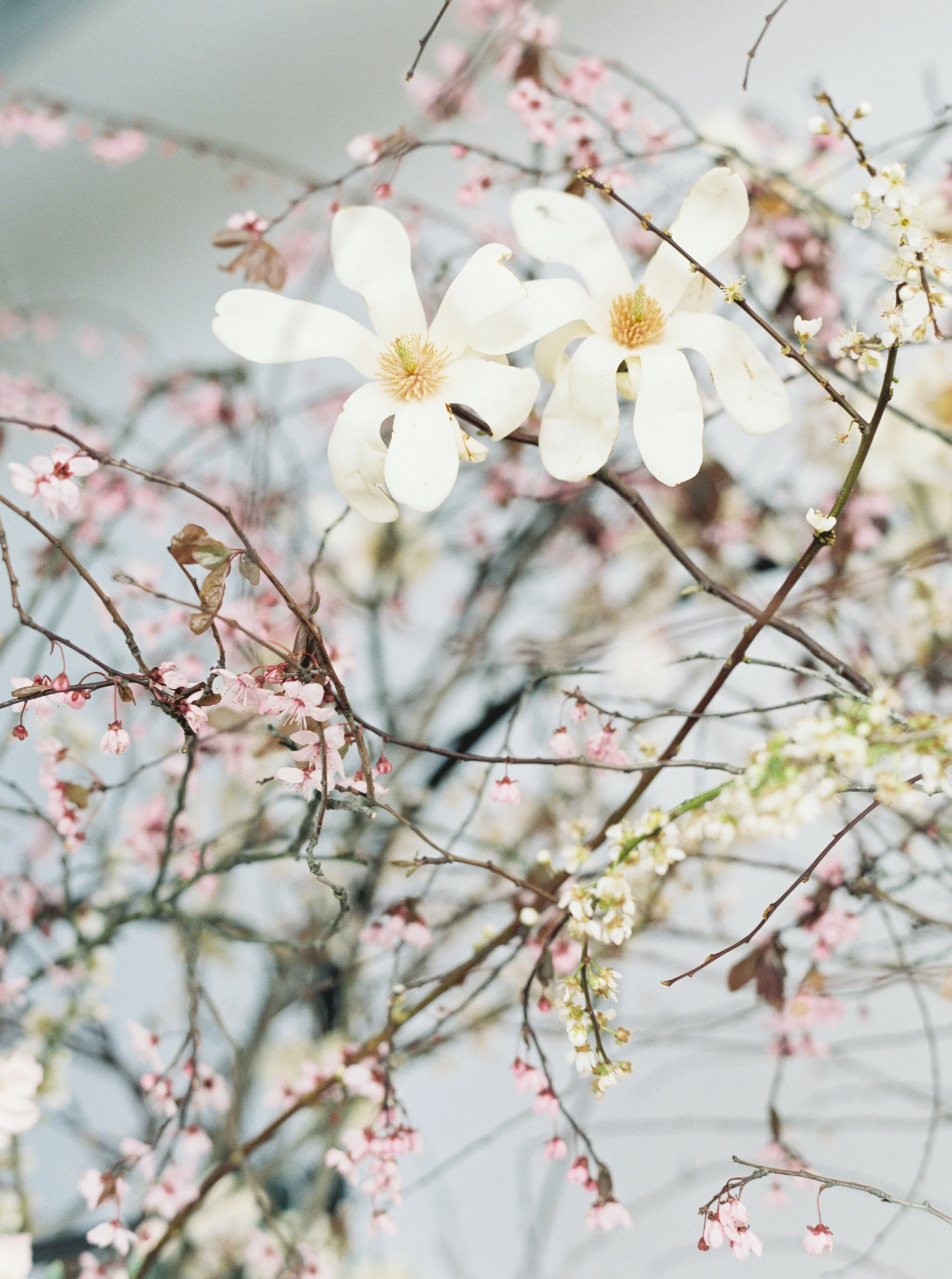 Hartoneonone3_marialambphotography071.jpg