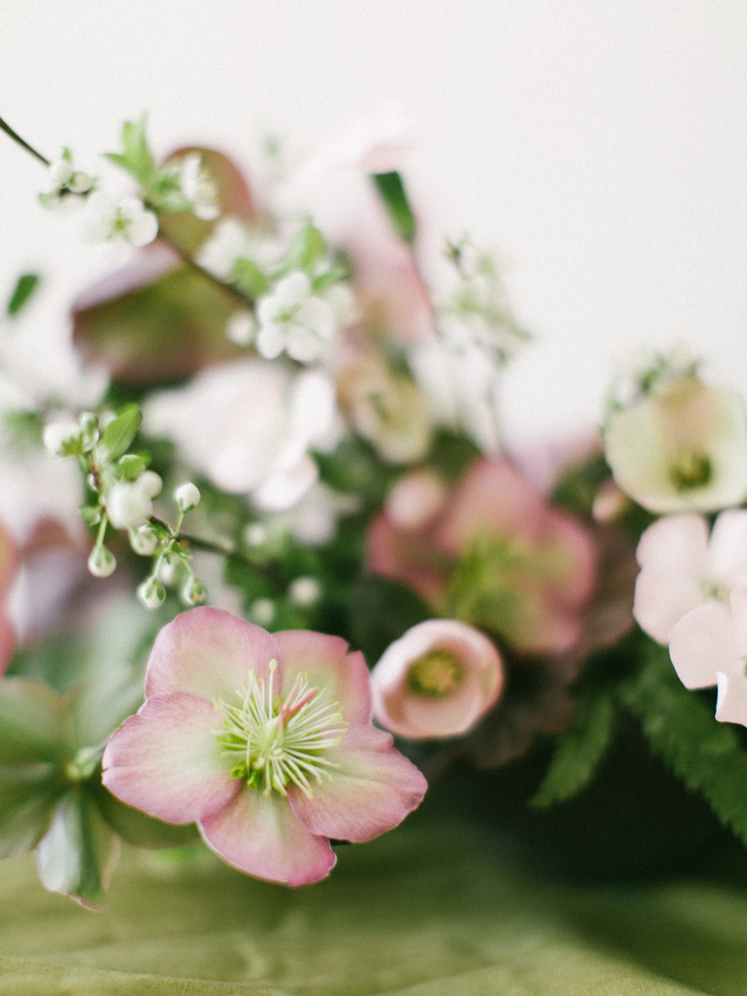 Hartoneonone3_marialambphotography032.jpg
