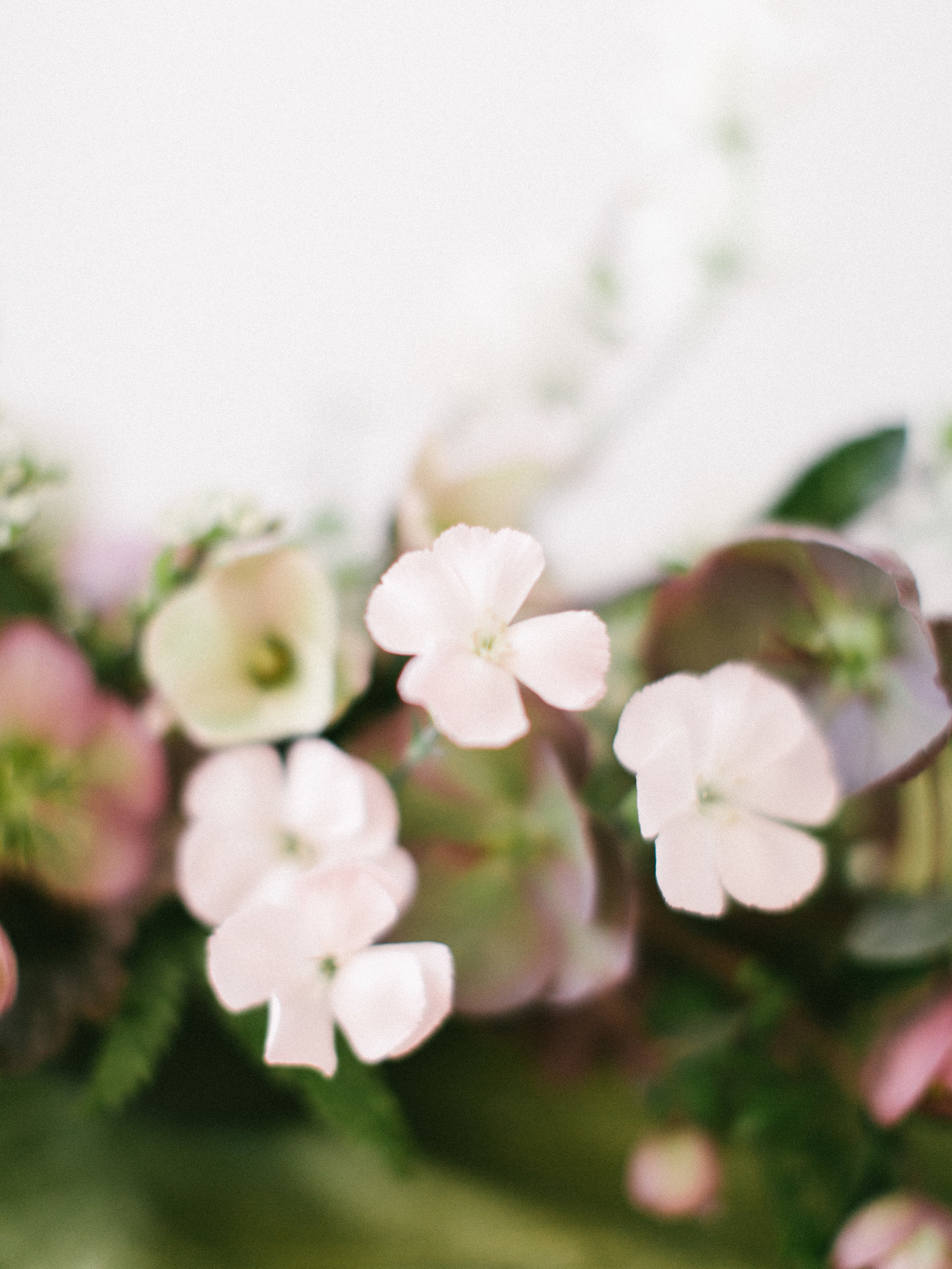 Hartoneonone3_marialambphotography033.jpg