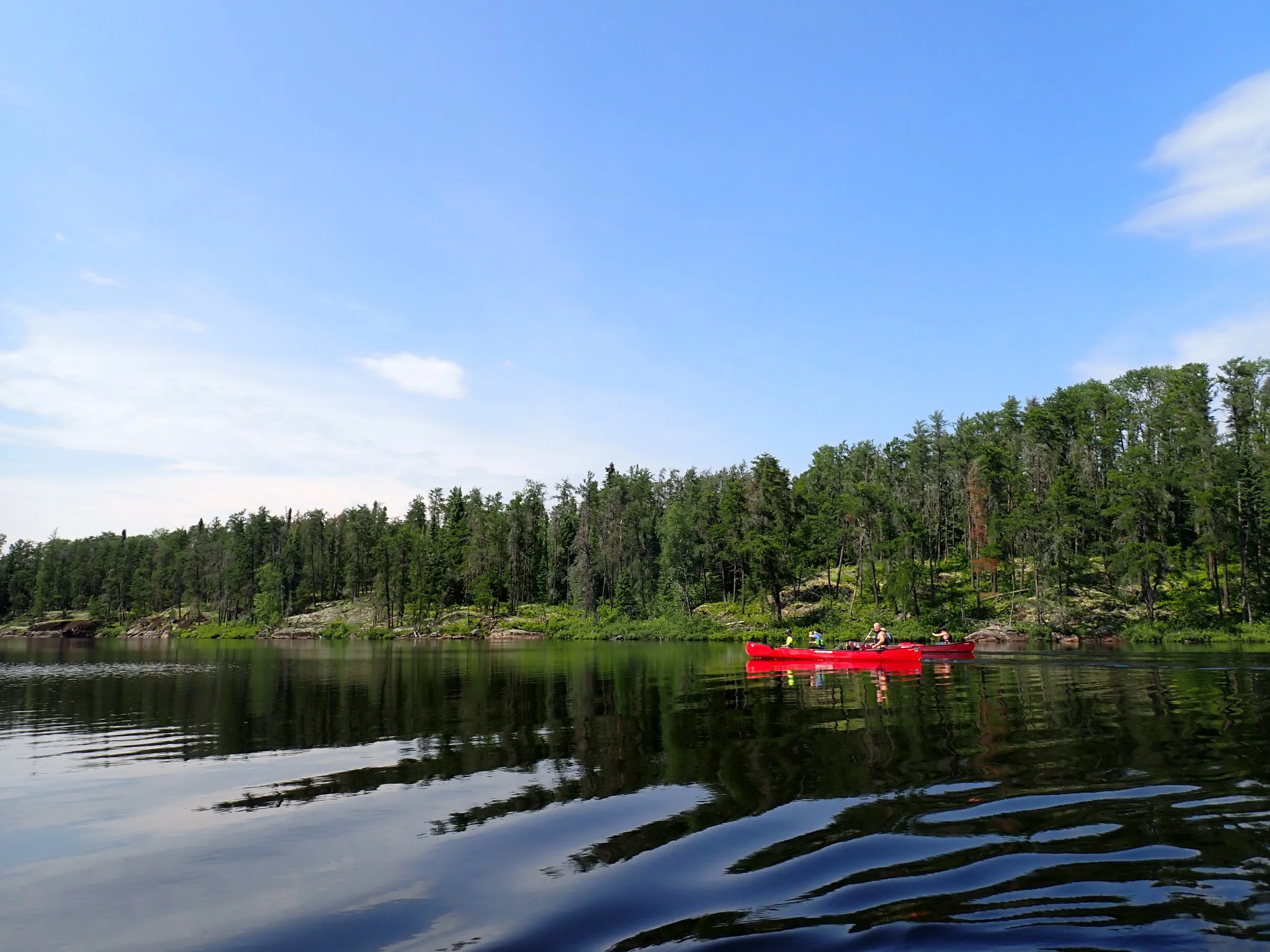 Meet the new co-director!