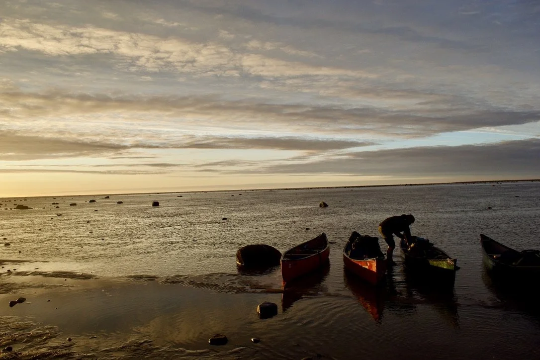 Meet the new directors!