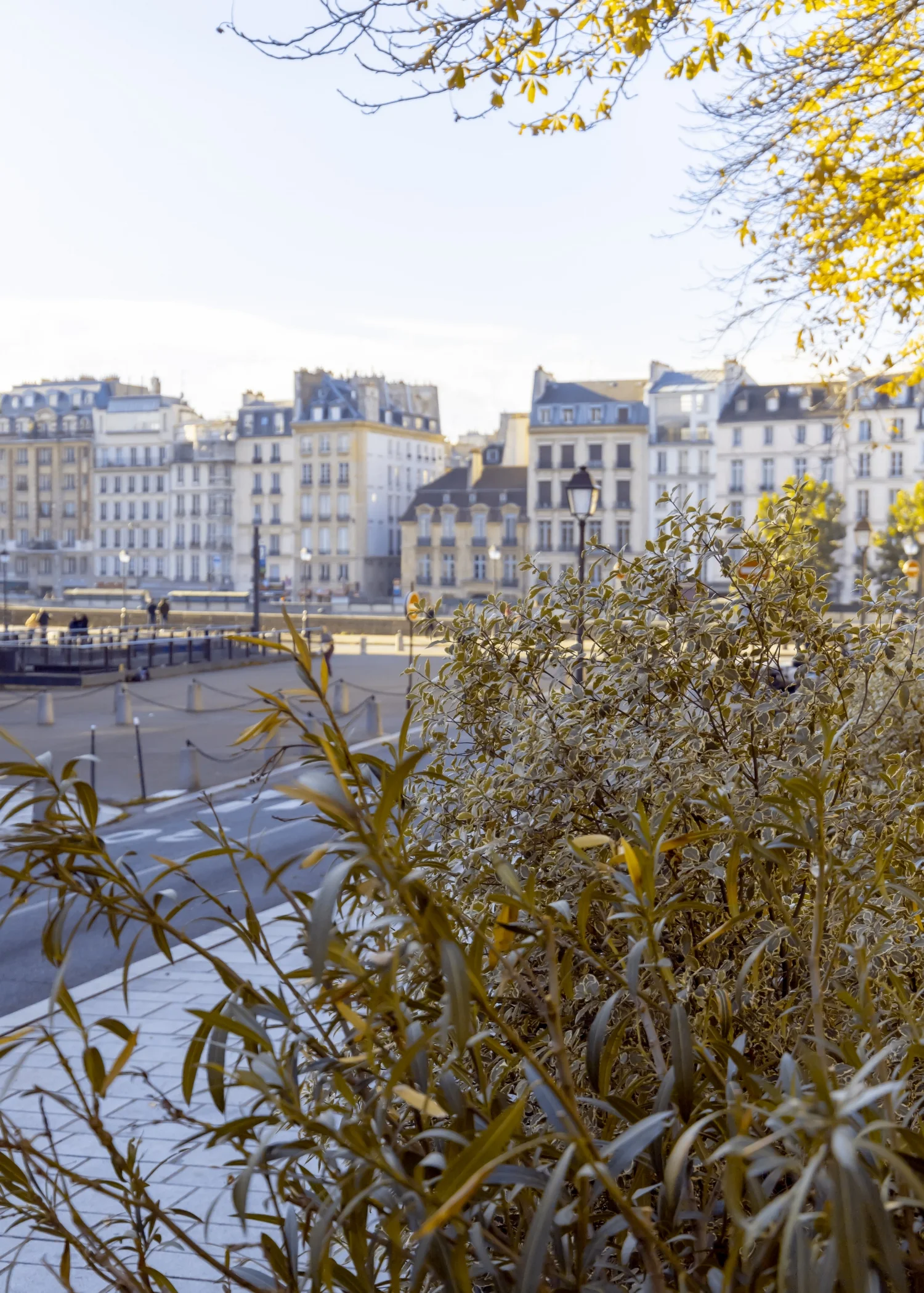 Sandemans Paris Tour_2018-10-27_IMG_8411_HR.jpg