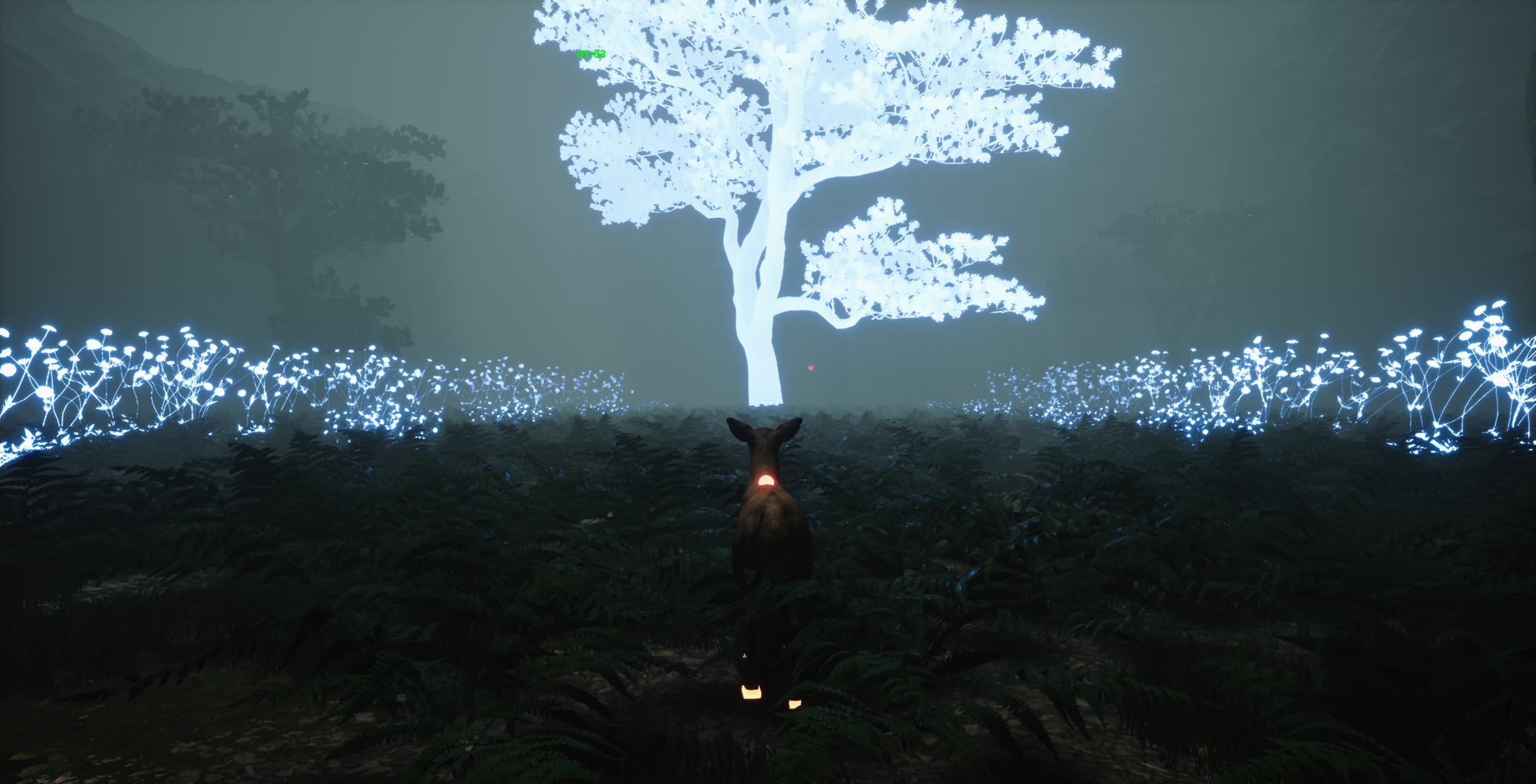 Bear's Hollow