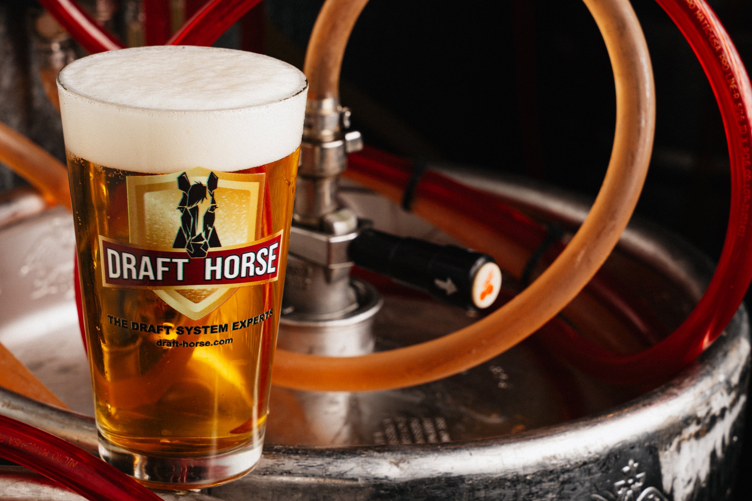 Draft Horse 6-4 (113 of 113).jpg