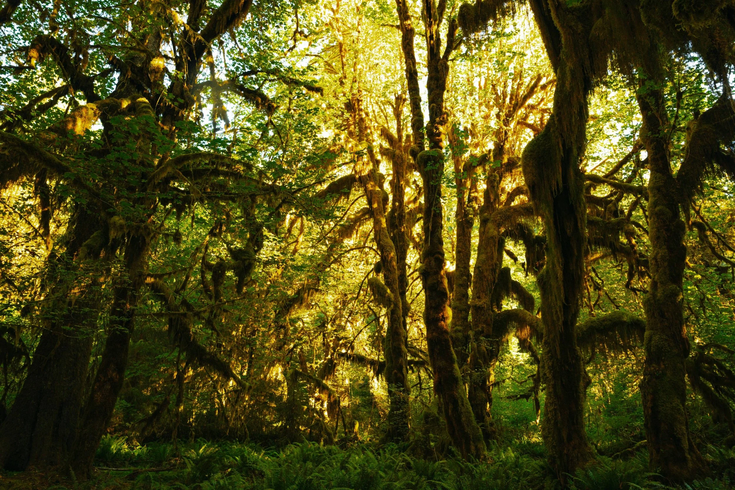 Day 4 (44 of 130) (1).jpg