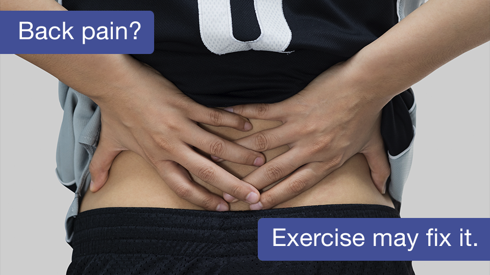 Back Pain Seminar Graphic.png