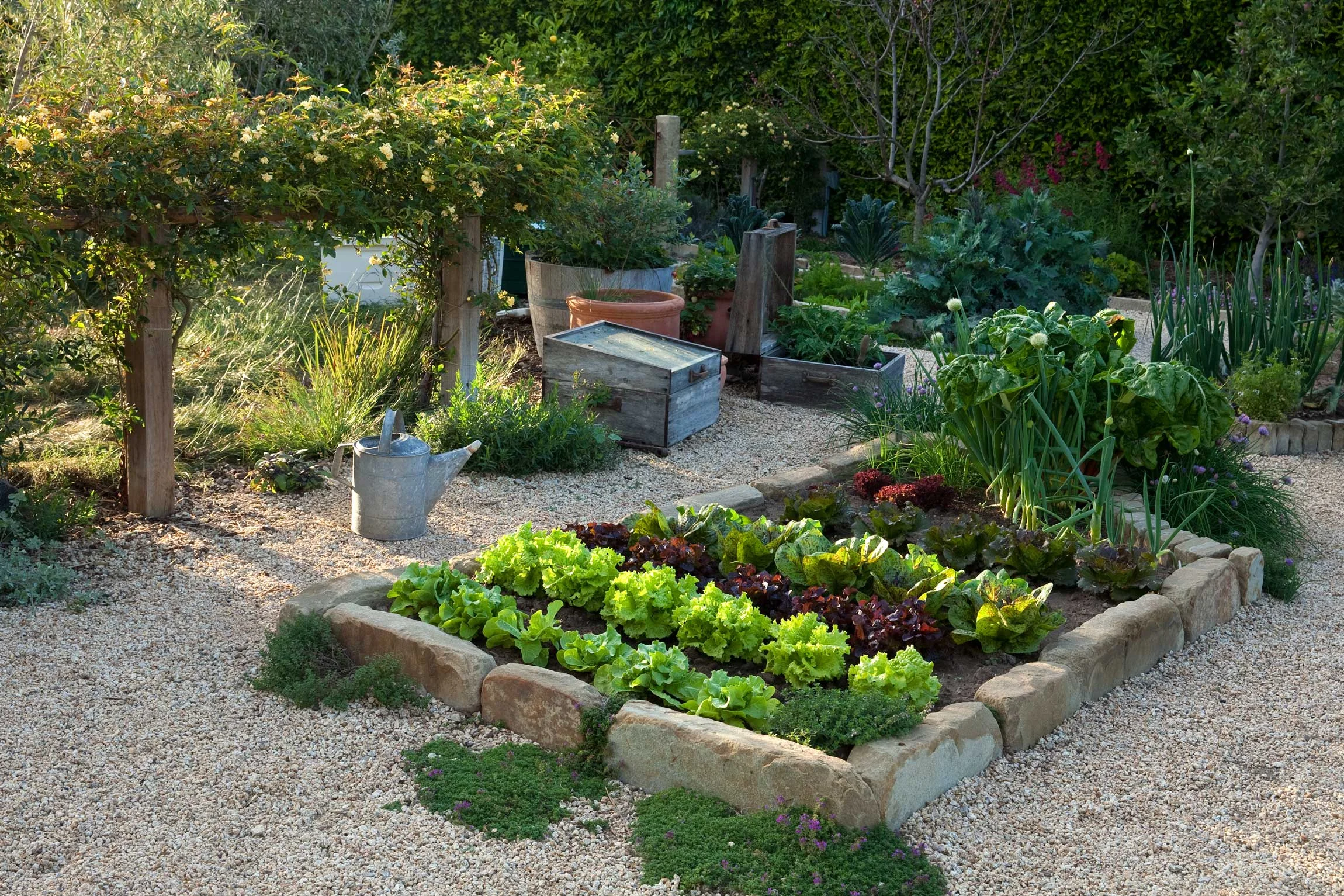edible-garden.jpg