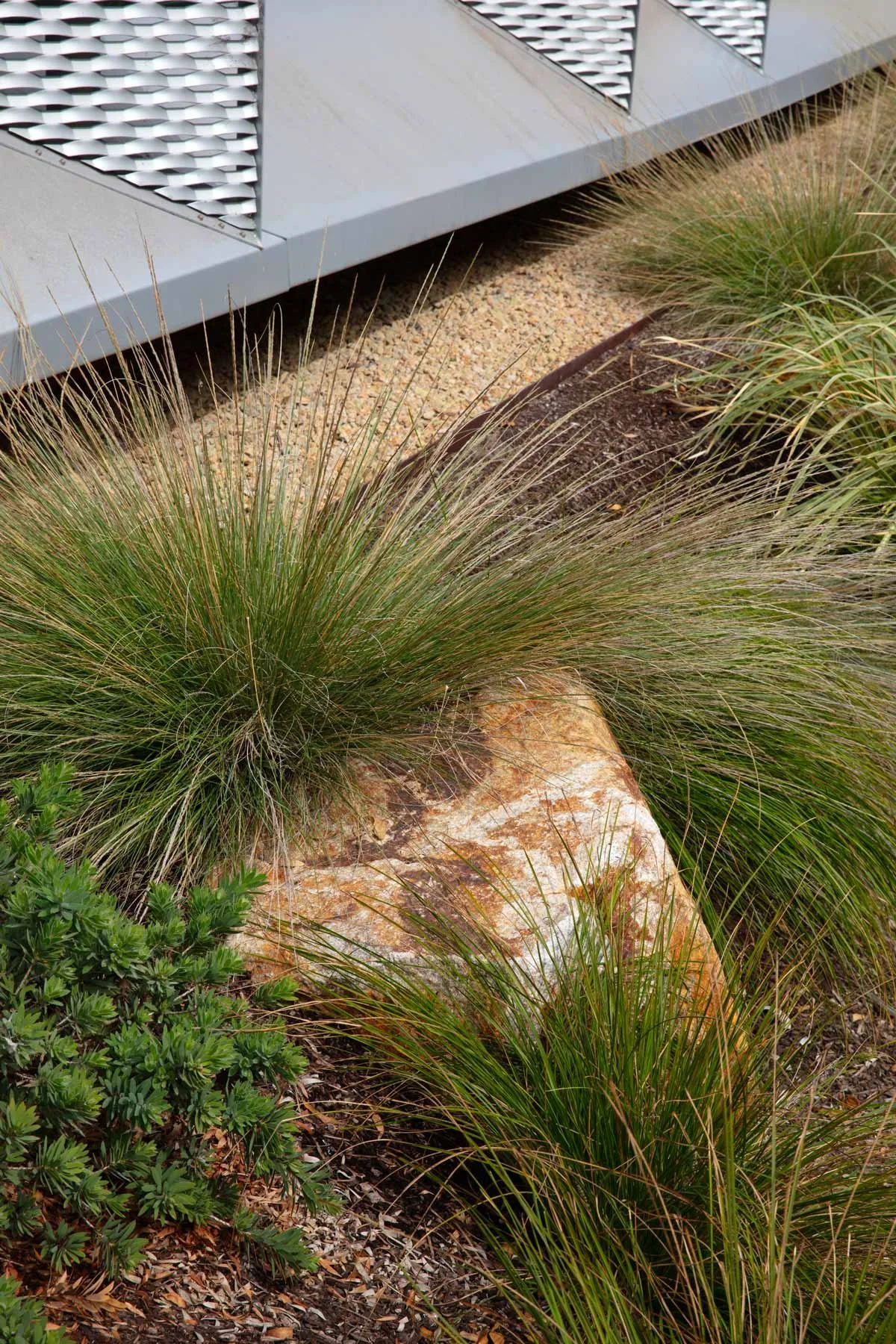 04_Cal-Poly-Frost.jpg