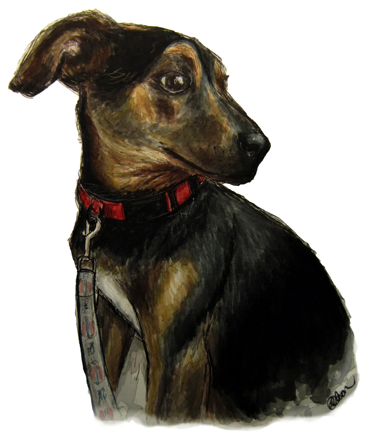 Ruby, 2013, watercolor