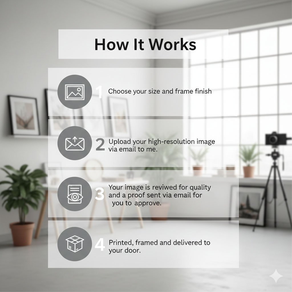 How it works updated version.jpg