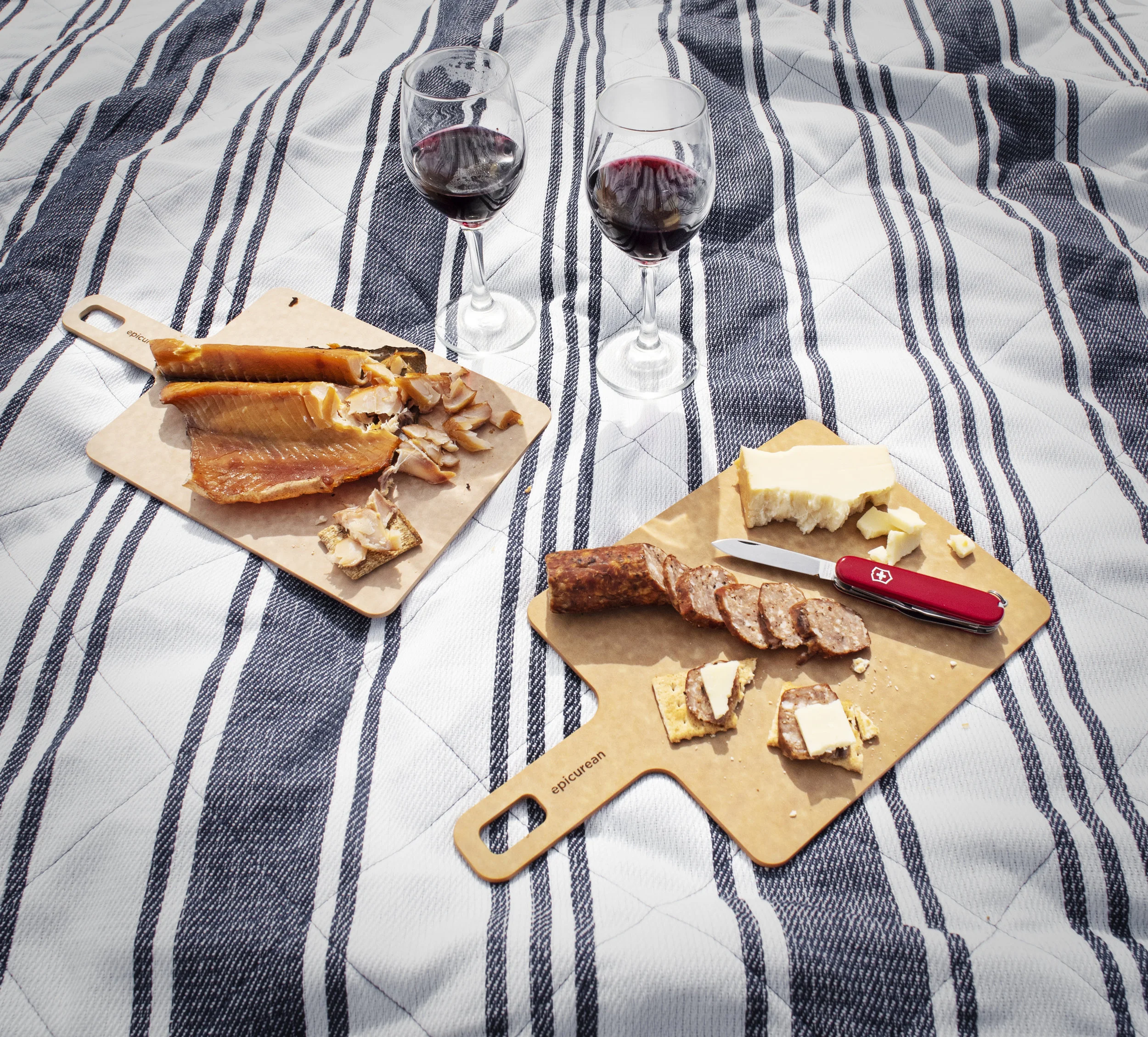 Picnic overhead2.jpg