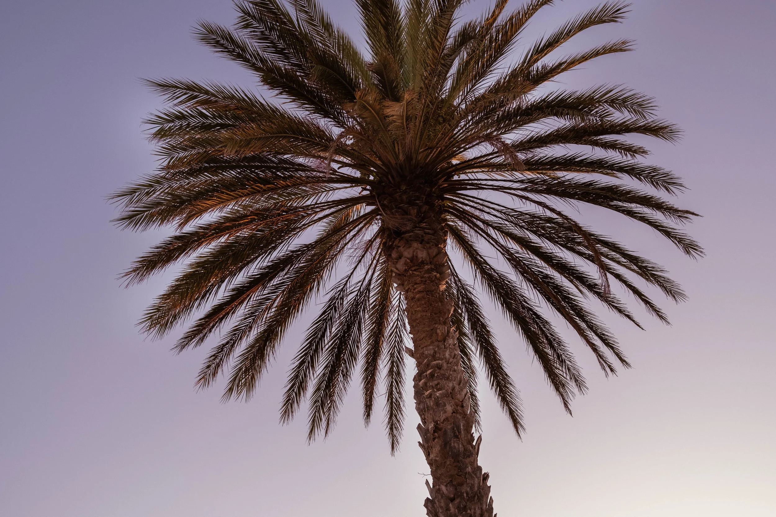 DSCF4366.jpg
