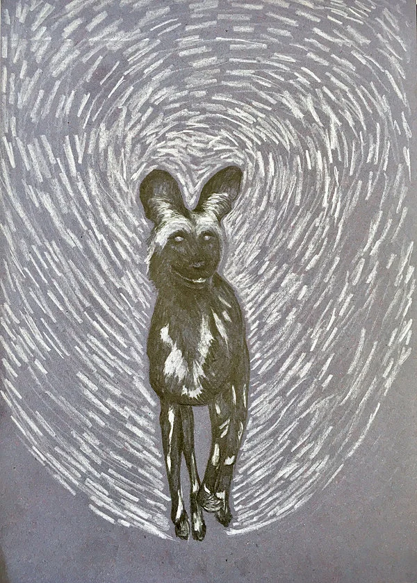 Ghost Wild Dog.jpeg