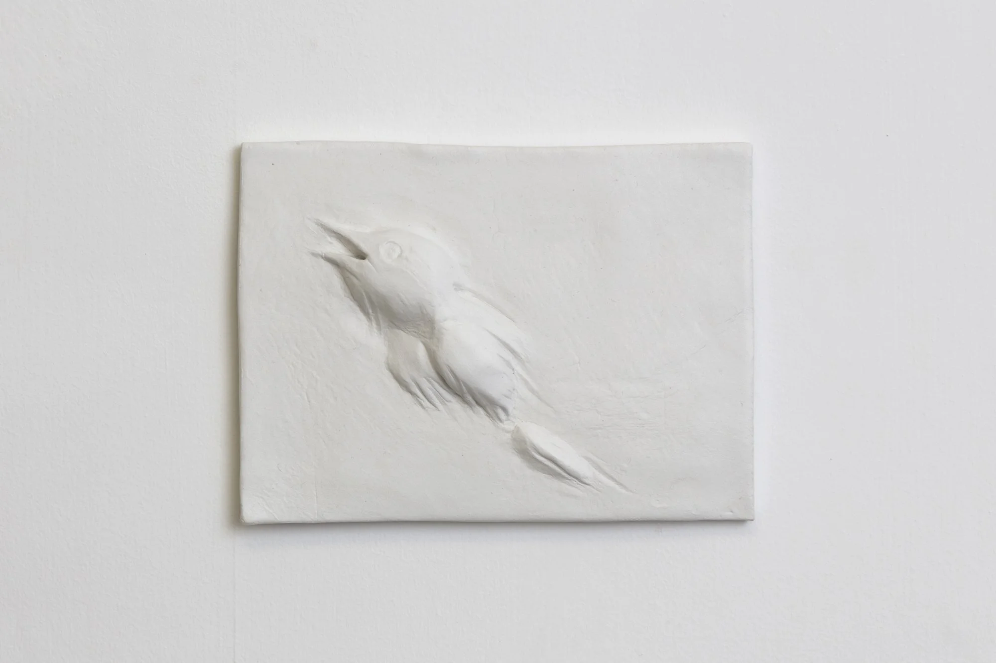 Nightingale singing_white.jpeg