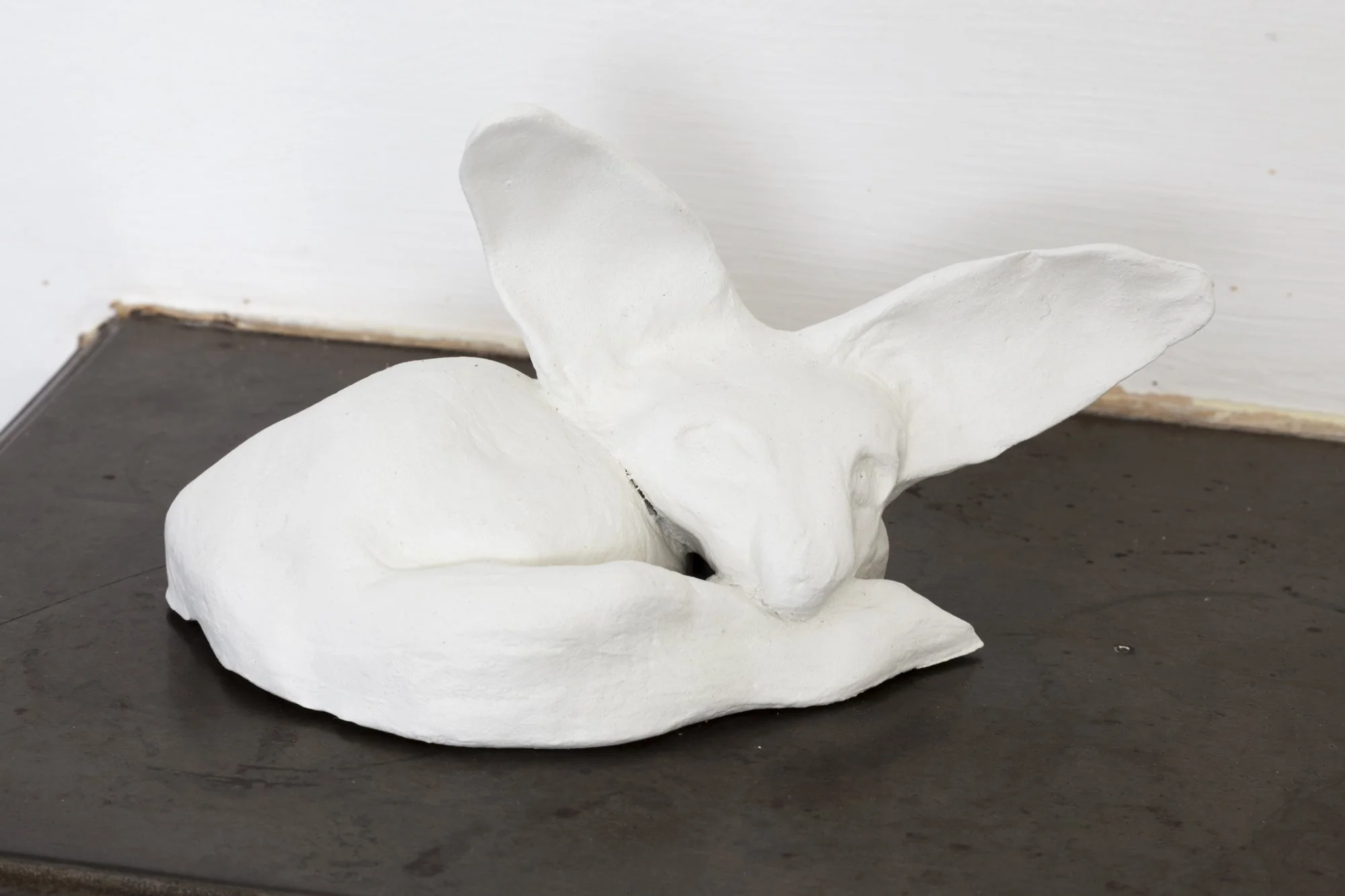 Desert Vision Resting_white.jpeg