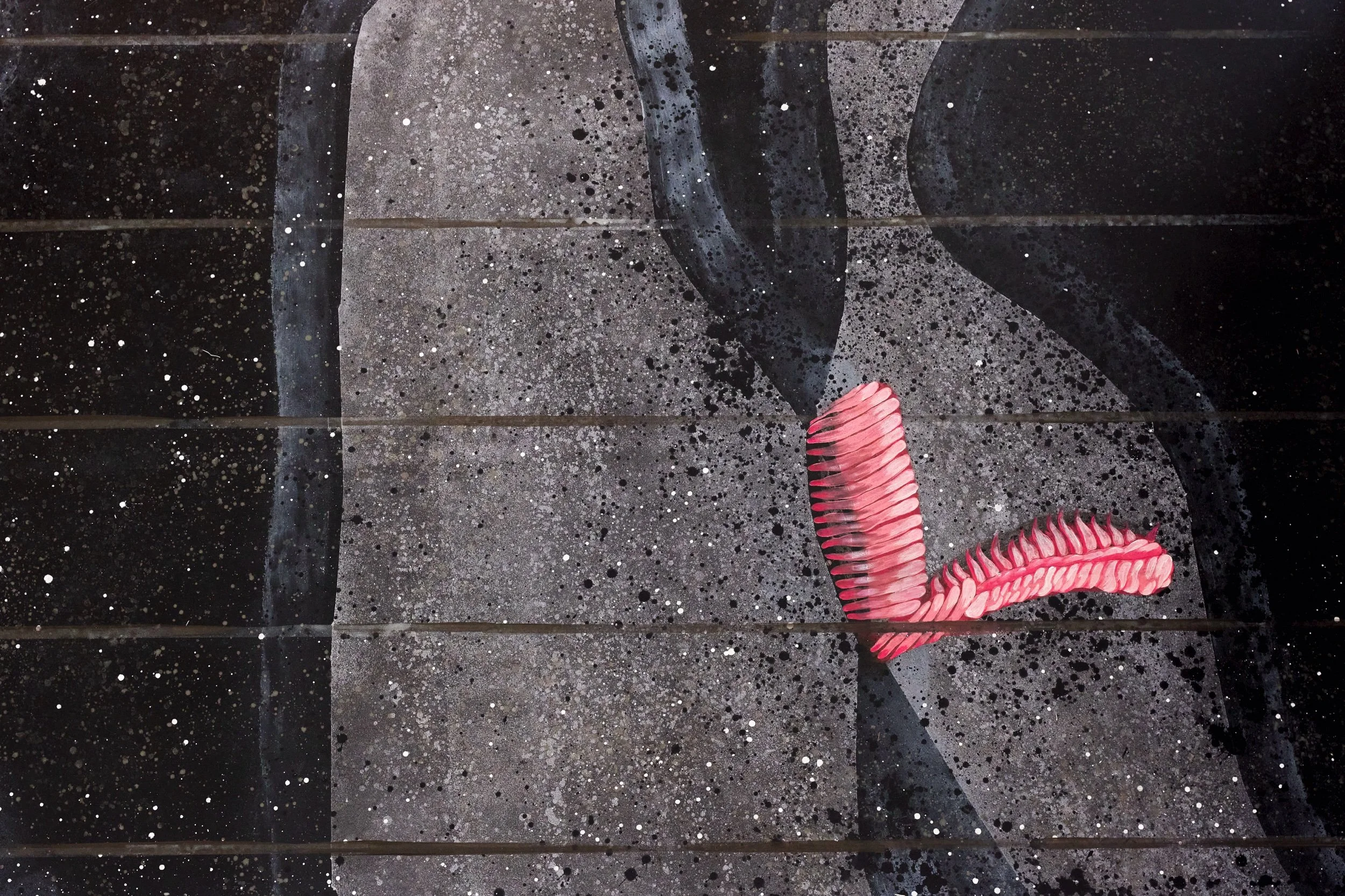 Fani Parali_Cooke Latham_L1030790.jpeg