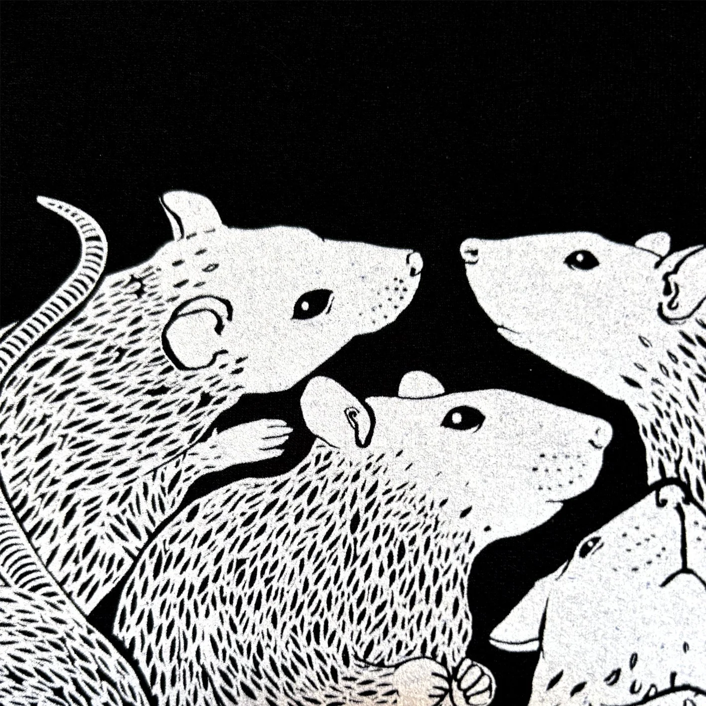 2Rats_det.jpg