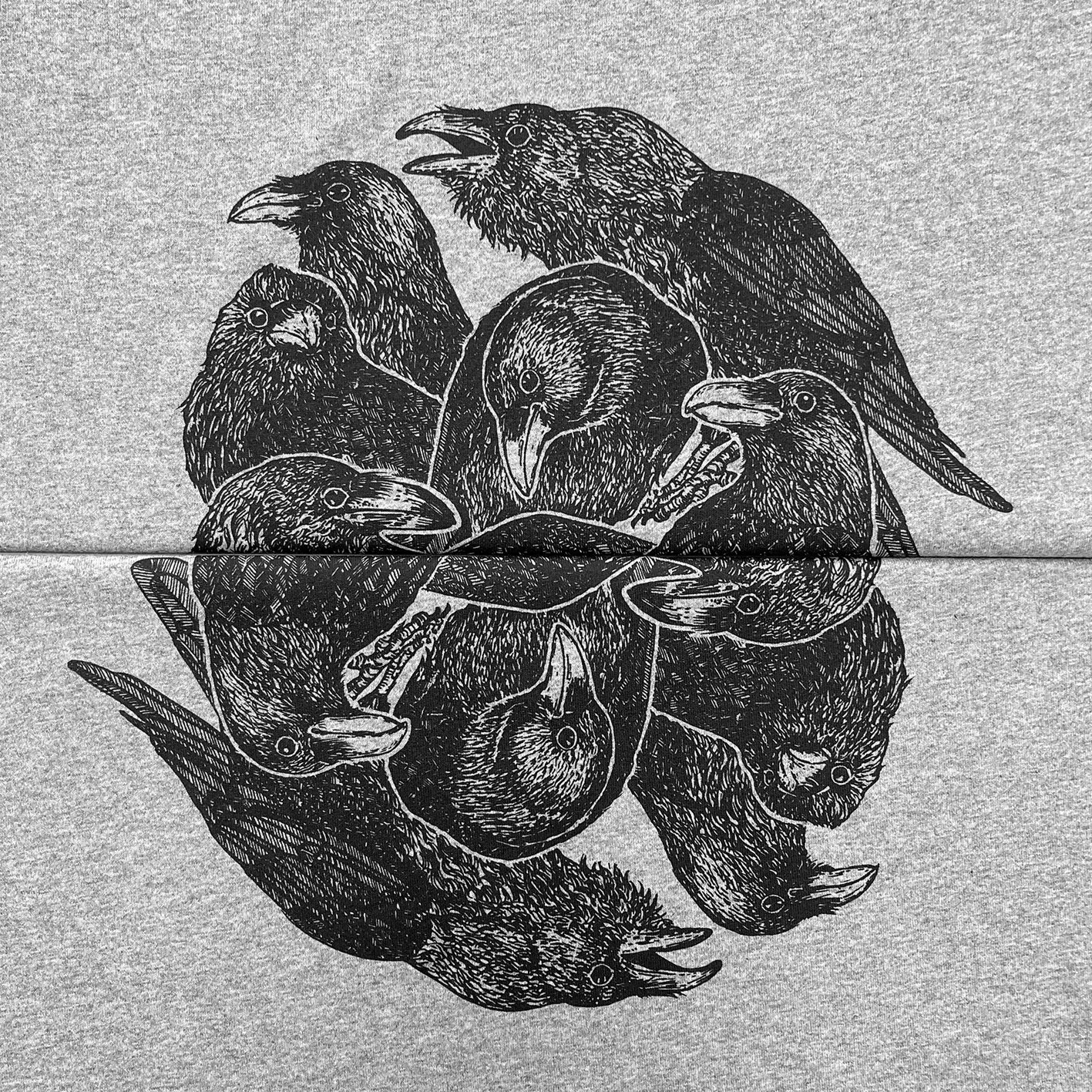 crows2.jpg