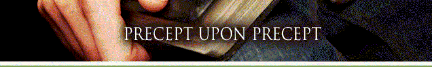 Precept Upon Precept