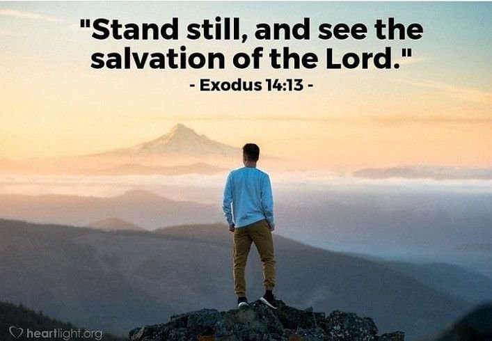 Stand Still And See
