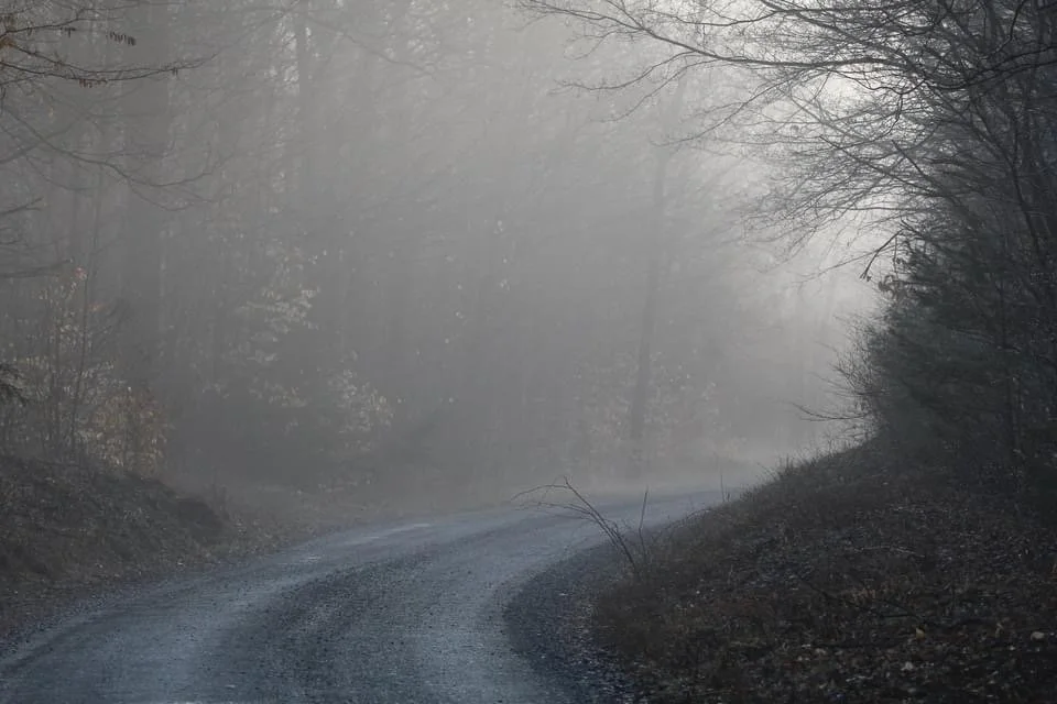 I Want to Want to Obey