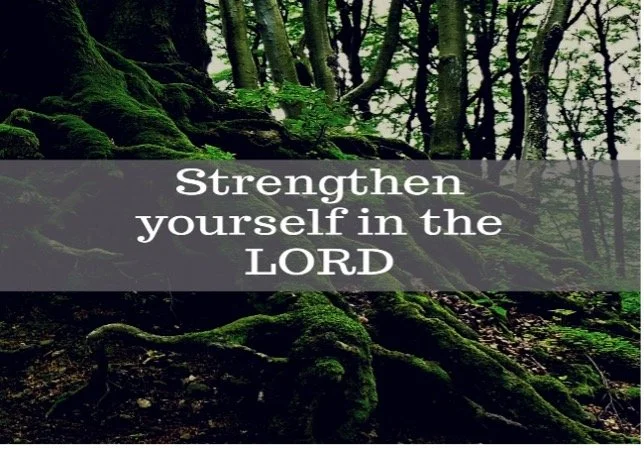 Strengthen Yourself in the Lord