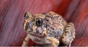 My Little Bit of Good