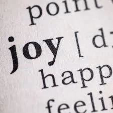 The Meaning of Joy