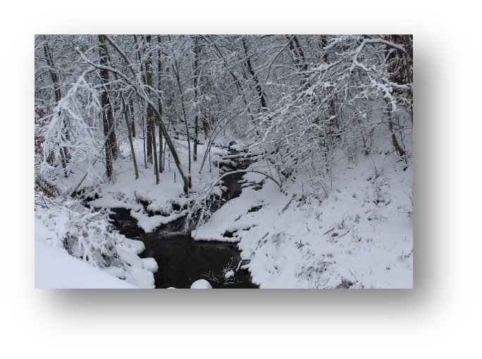 Quietness Is the Classroom