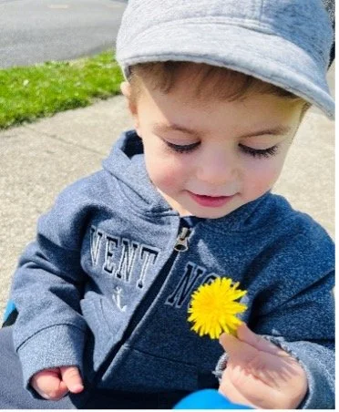 Dylan’s Dandelion