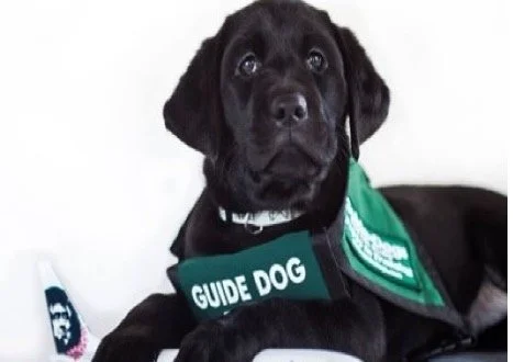 Step Aside, Your Job Is Done