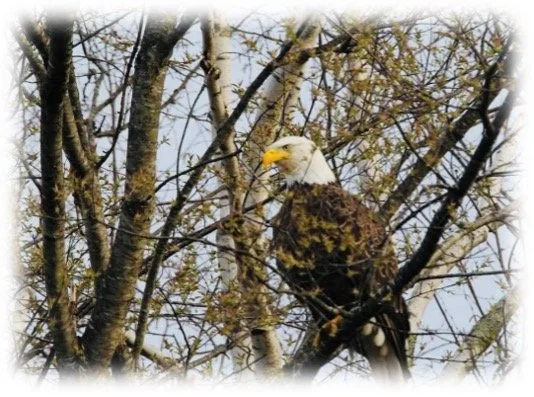 Acts of Awe and Wonder