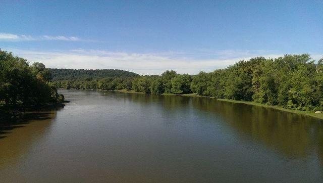 Focus and Persevere -by Jane Reedy 