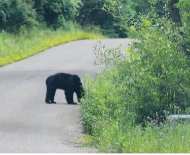 A New Day