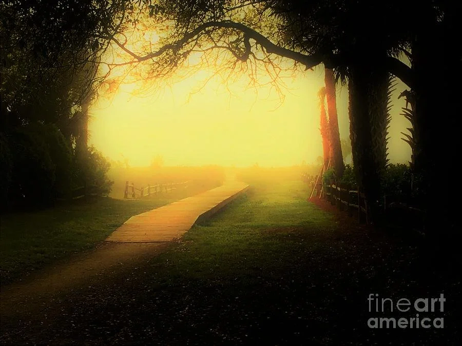 Light Over Darkness